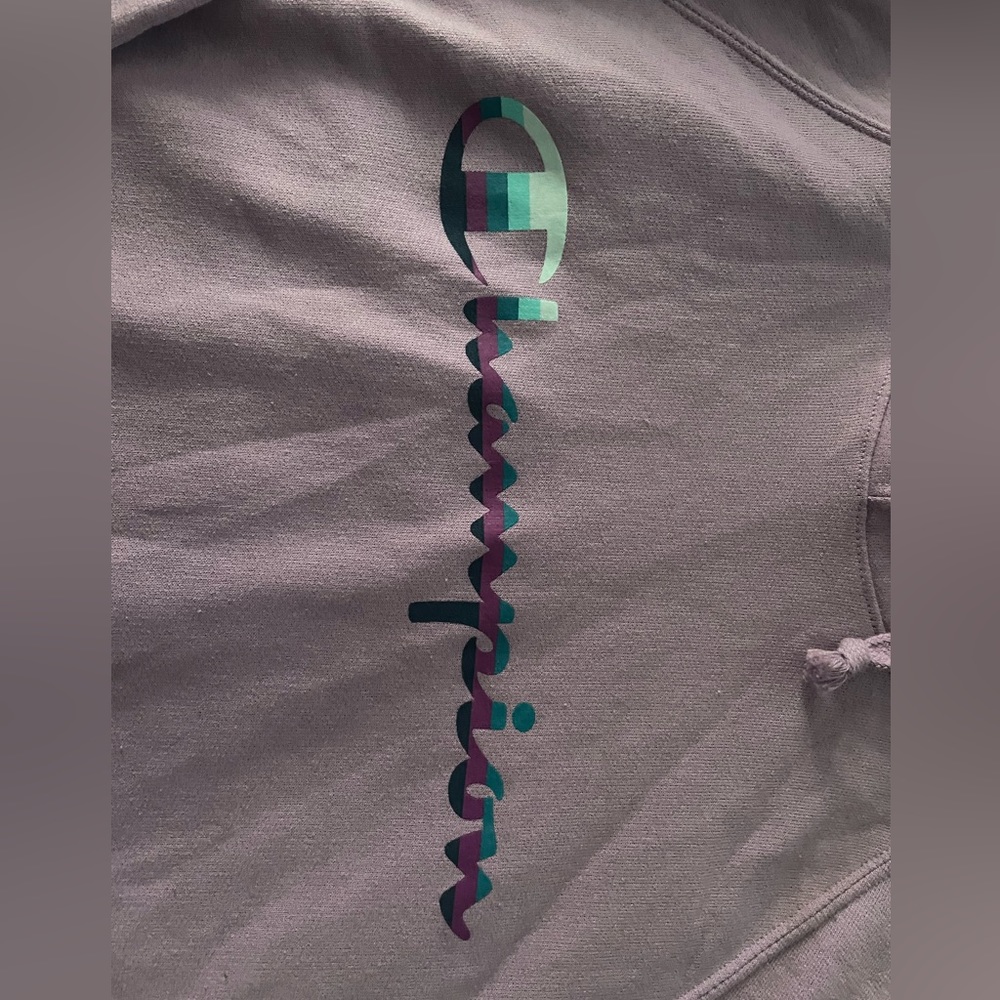 Champion hoodie